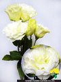 Eustoma Reina White